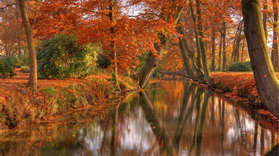 Winnende foto Herfstfotowedstrijd 2013