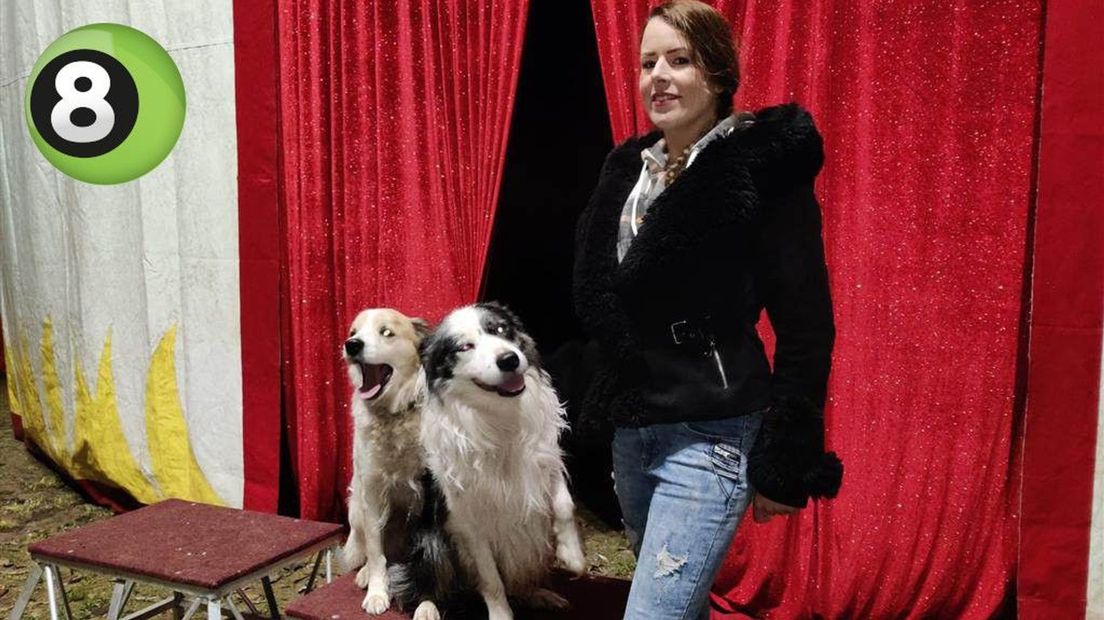 Circus Bolalou is gestrand bij Stroombroek
