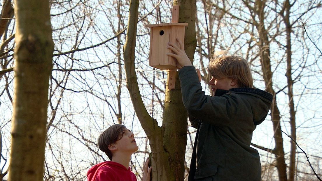 Mezenonderzoek