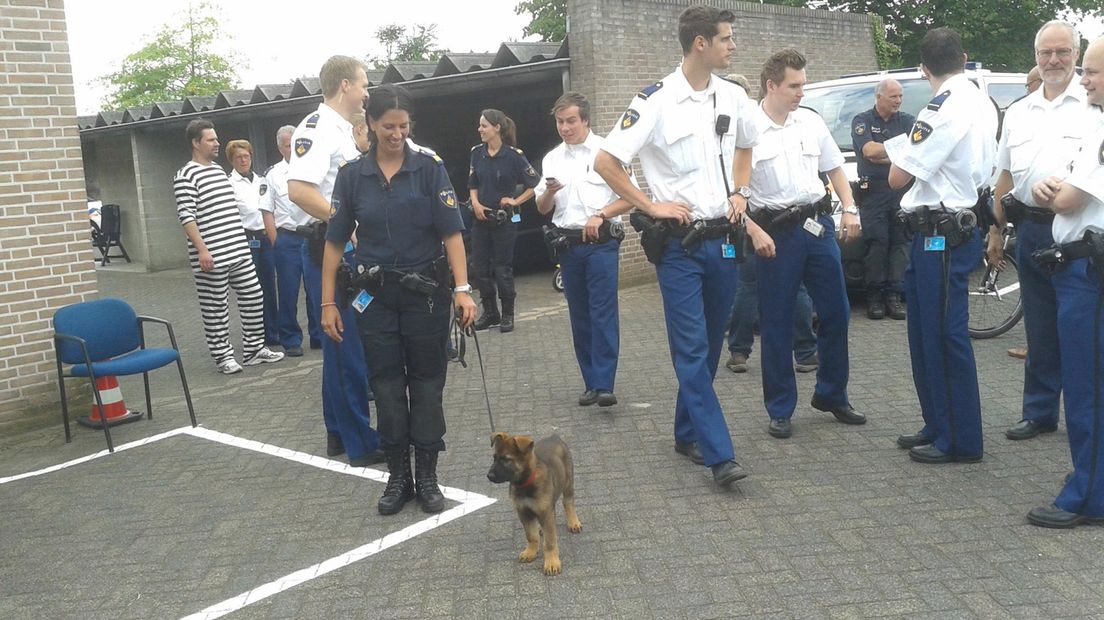 De jongste politiehond