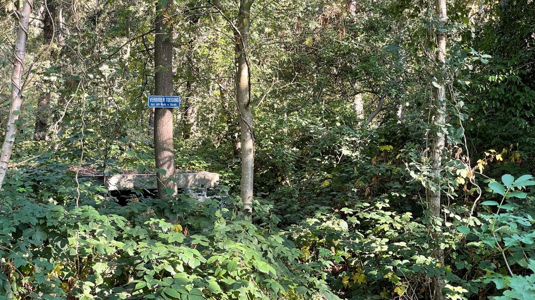 Hernieuwd plan voor vakantiewoningen op terrein Zonneheuvel Rolde, zorgen bij omwonenden - Vimarsana News