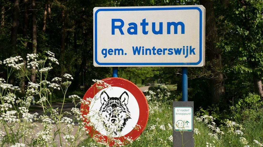 Ook in Ratum is niet iedereen blij met het roofdier.