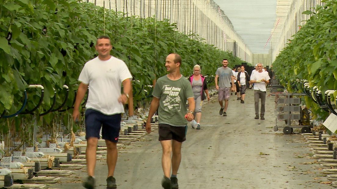 'Er was niets, we kwamen aanrijden door de modder' (video)
