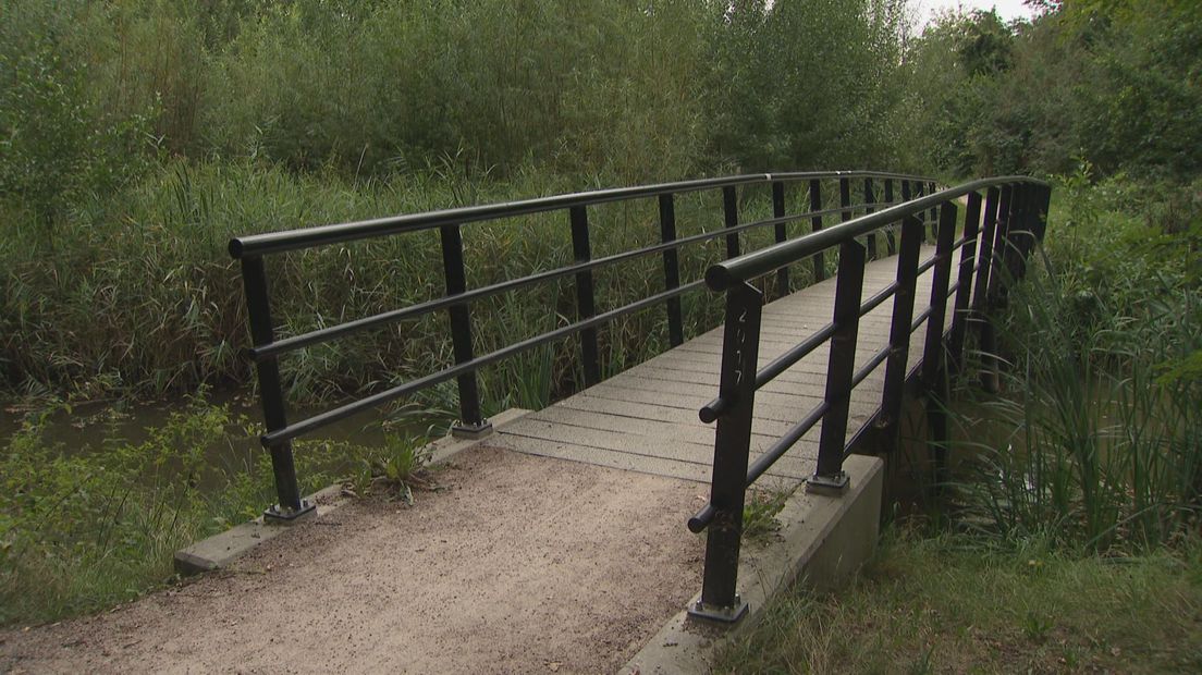 In de buurt van dit bruggetje, vlakbij de Leo Majorlaan in Zwolle, werd een jong kind vastgepakt