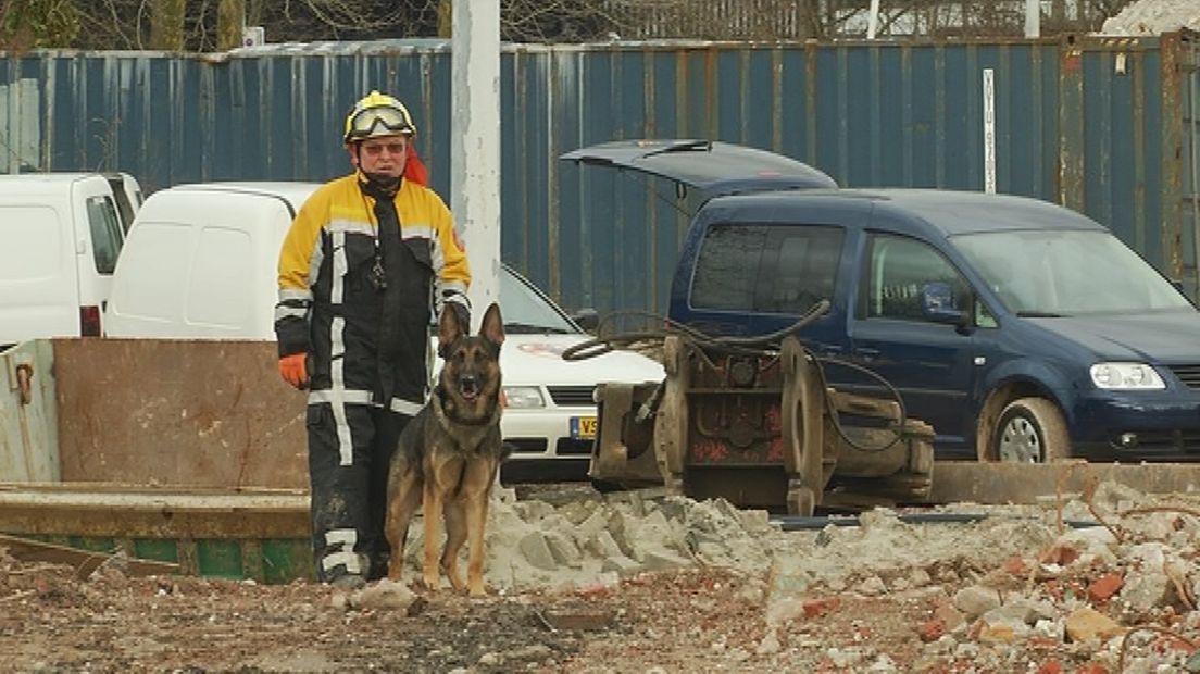Oproep Reddingshond Krijgt Gehoor RTV Noord