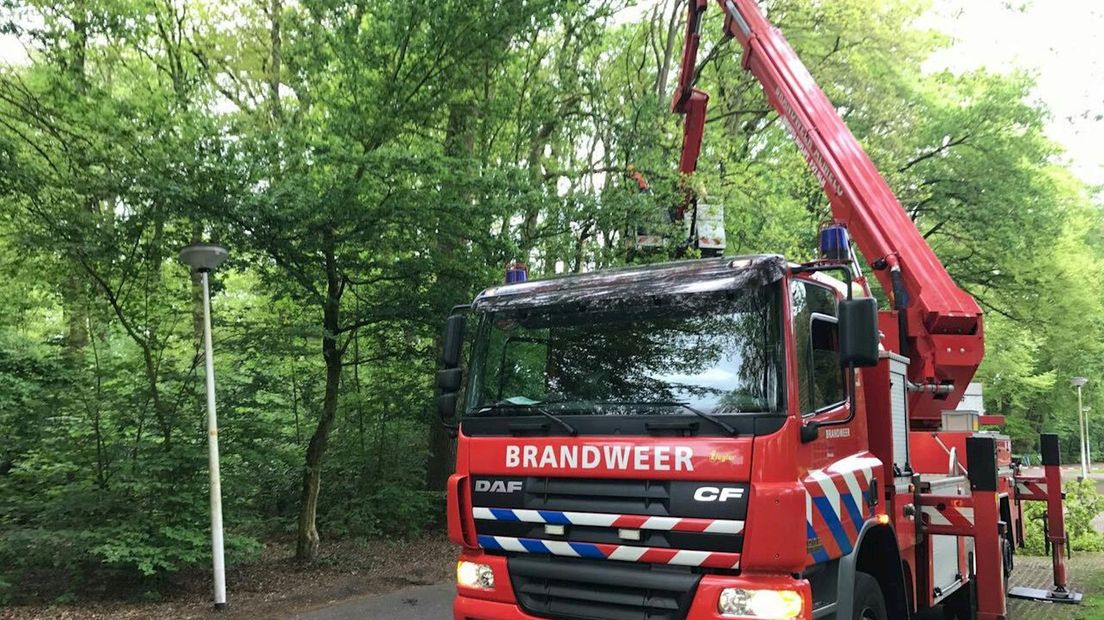 Hoogwerker moet tak afzagen