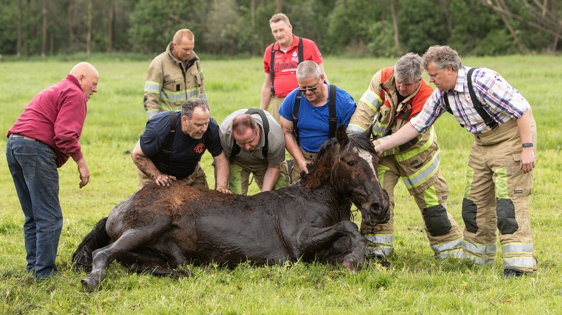 Het paard moet even bijkomen.