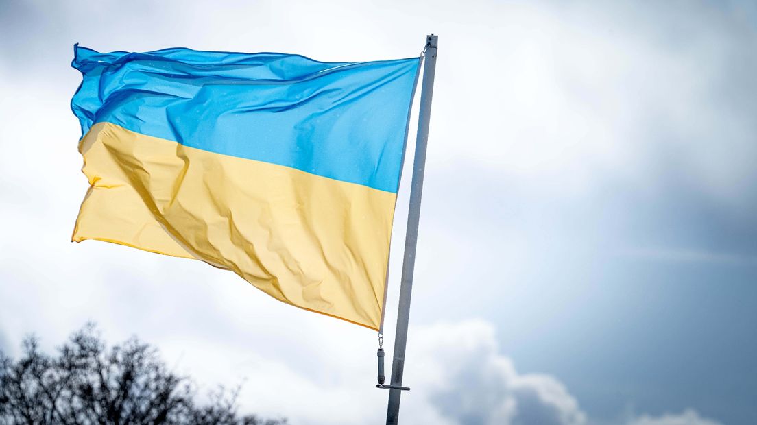 De Oekraïense vlag