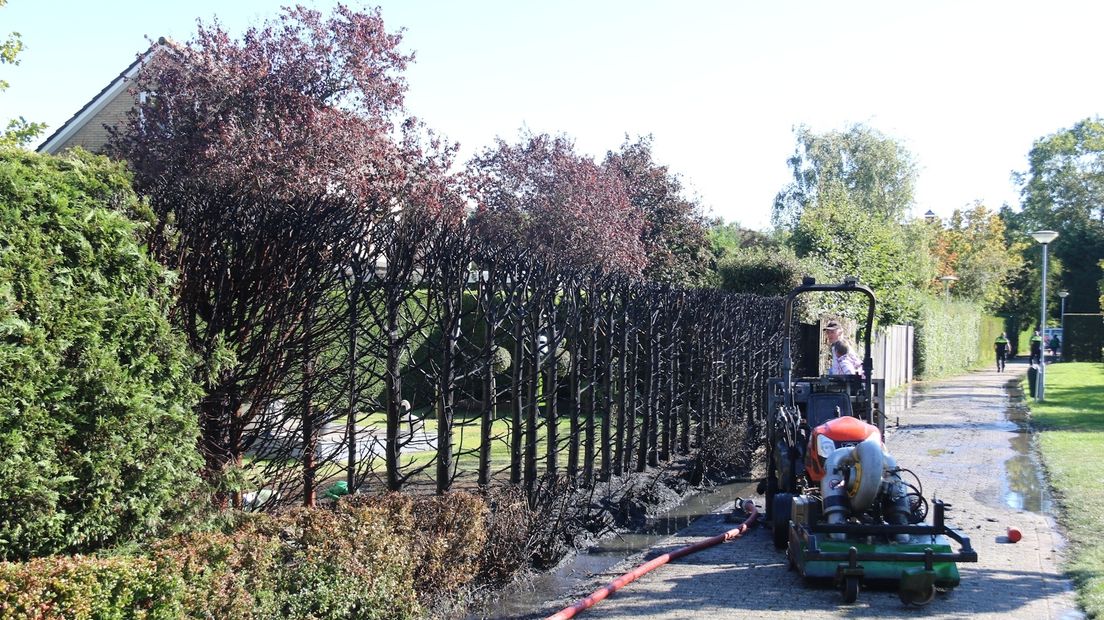 Onkruidverdelger vliegt in brand, man gewond (video)
