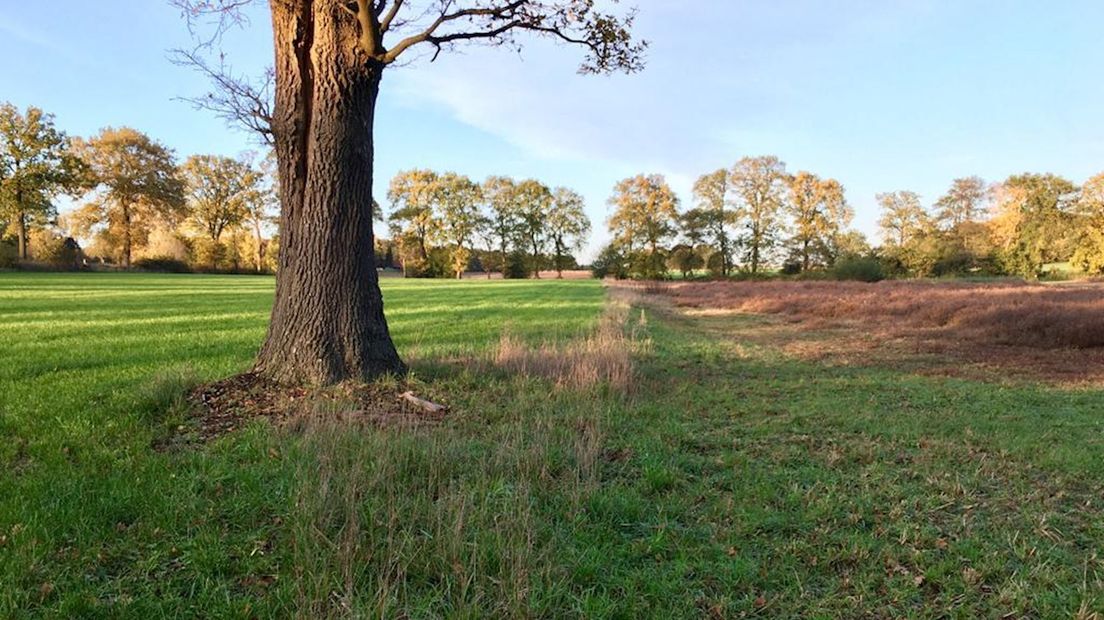 Een duidelijke grens tussen het weiland en natuurgebied