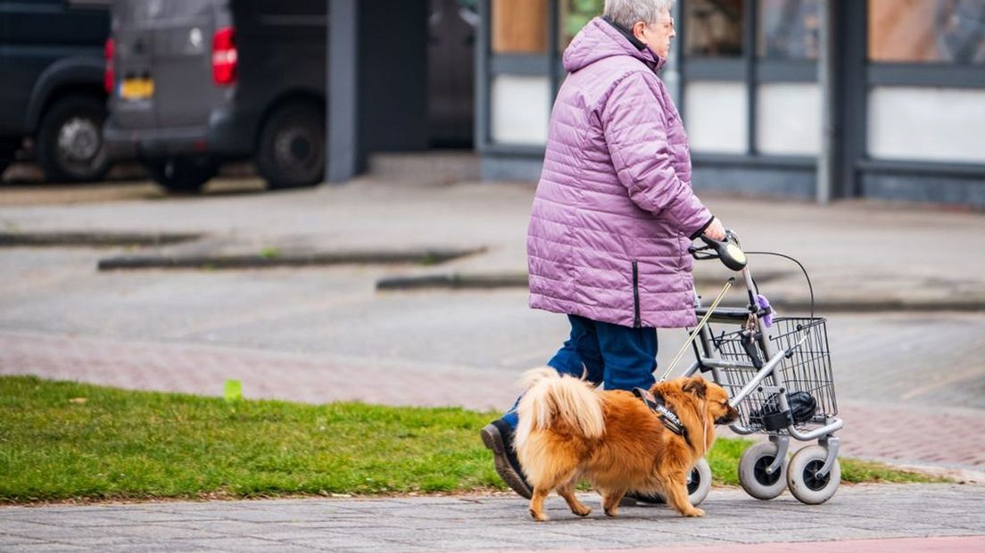 Hondeneigenaren in Nederland betalen hondenbelasting, als hun gemeente die tenminste heft.