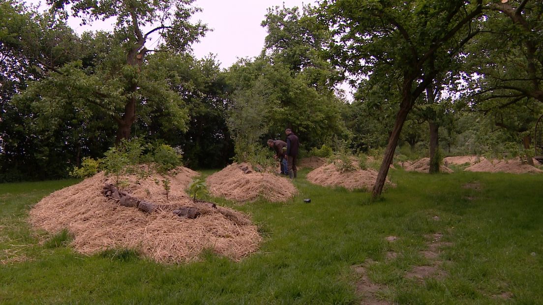 Het voedselbos van Emiel opent eind mei
