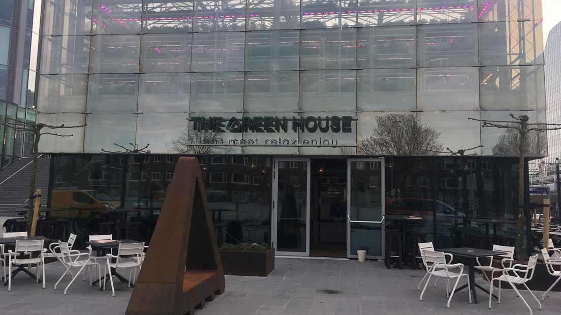 The Green House