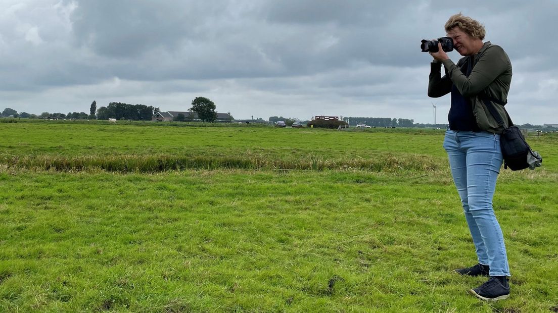 'Je loopt hier niet tussen een massa mensen', is De Wilck het mooiste plekje van de regio? - Omroep 