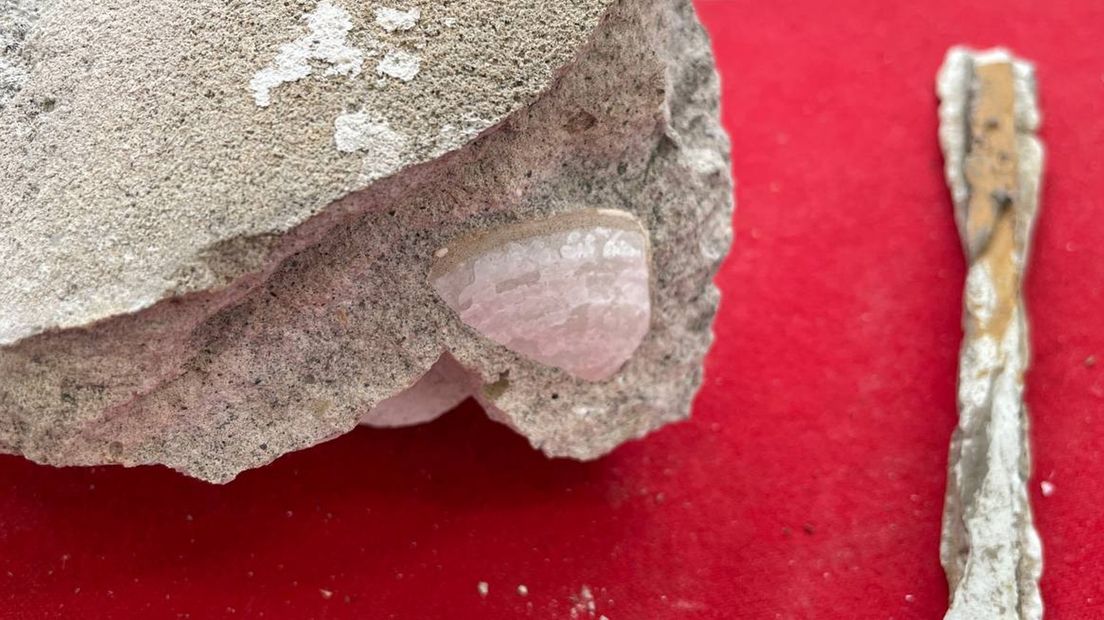 Een stukje schelp uit Neptunus: 'Geen toeval'