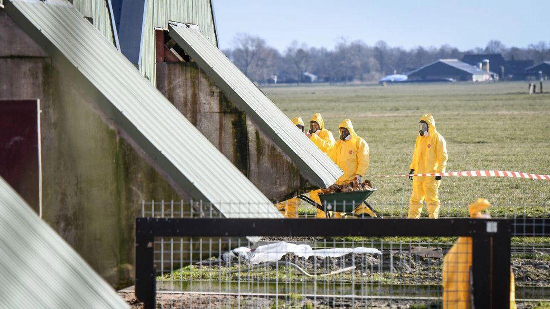 Het getroffen bedrijf in Oldekerk werd maandag geruimd