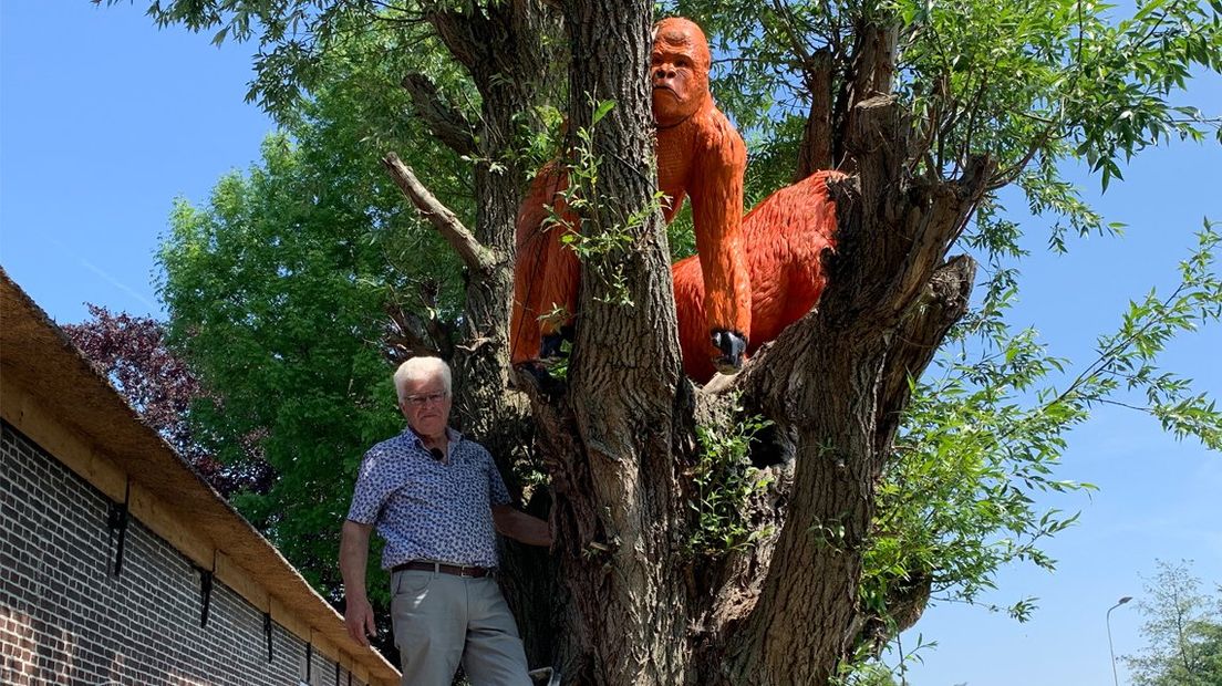 Zelfs in de boom heeft Johan beelden zitten