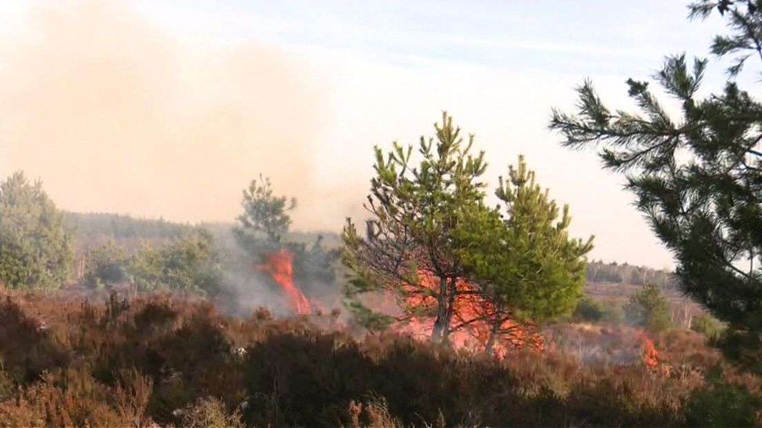 Het vuur op de Sallandse Heuvelrug.