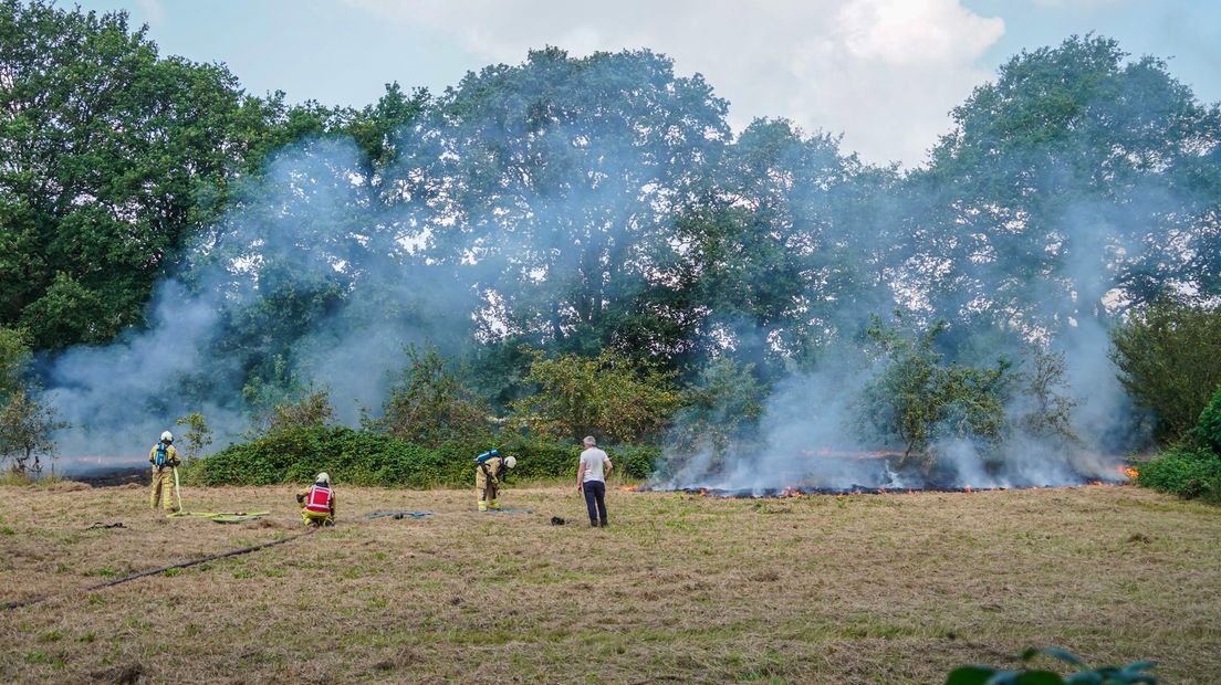 Het natuurbrandje was snel onder controle