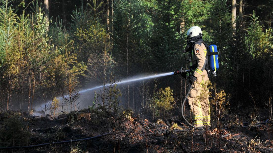In Boschoord brak een natuurbrandje uit (Rechten: De Vries Media)