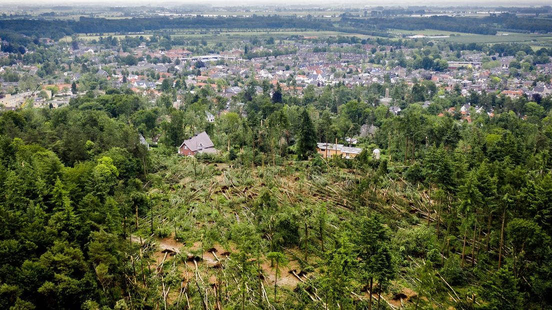 Provincie Utrecht: 1,5 miljoen euro voor natuurherstel na verwoestende valwind Leersum - RTV Utrecht