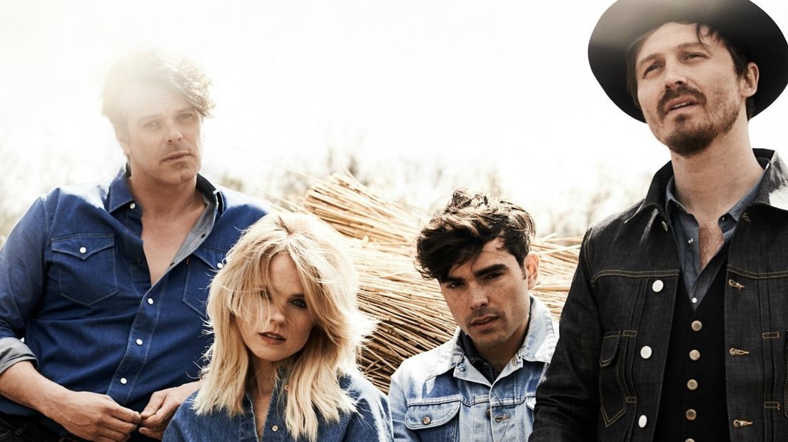 The Common Linnets
