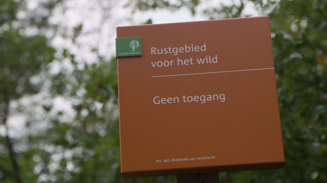Een informatiebord van staatsbosbeheer (Rechten: RTV Drenthe / Steven Ophoff)