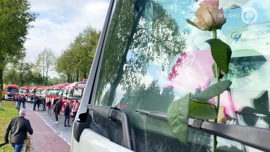 Onder grote belangstelling is het stoffelijk overschot van Daisy vanmiddag naar het crematorium in Beuningen gebracht. 250 vrienden en collega's vormden met trucks een erehaag om haar de laatste eer te betonen. De familie van de 26-jarige trucker Daisy was erg onder de indruk van dit grootse gebaar.