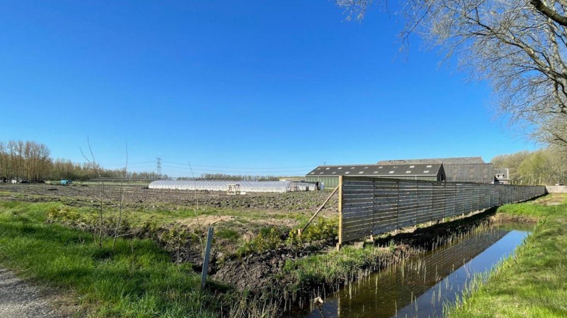 De akker van de boerderij in Tjuchem is afgeschermd met een hek