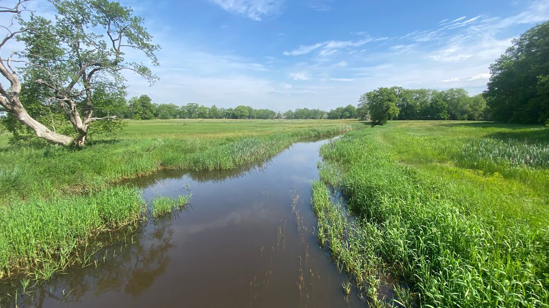 Het Taarlosche diep in de Drentsche Aa