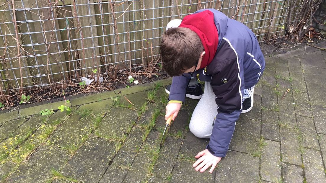Leerling maakt terras onkruidvrij tijdens NL Doet