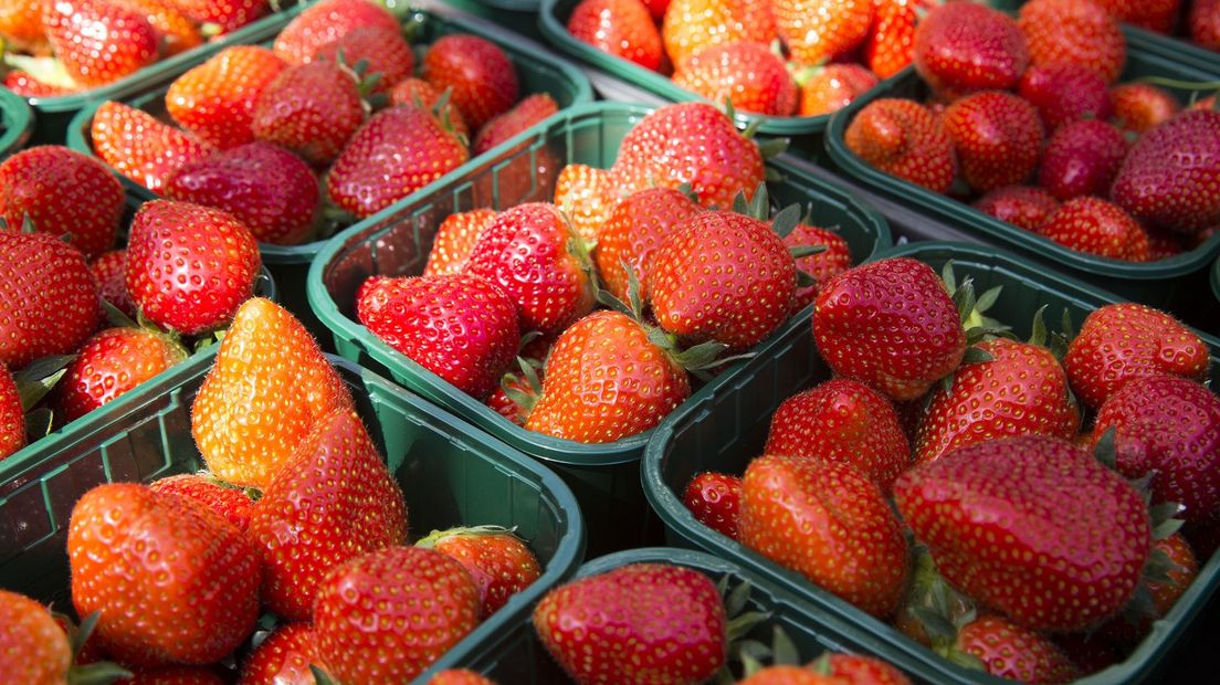 Liggen er binnen een aantal jaren zilte aardbeien in de schappen?