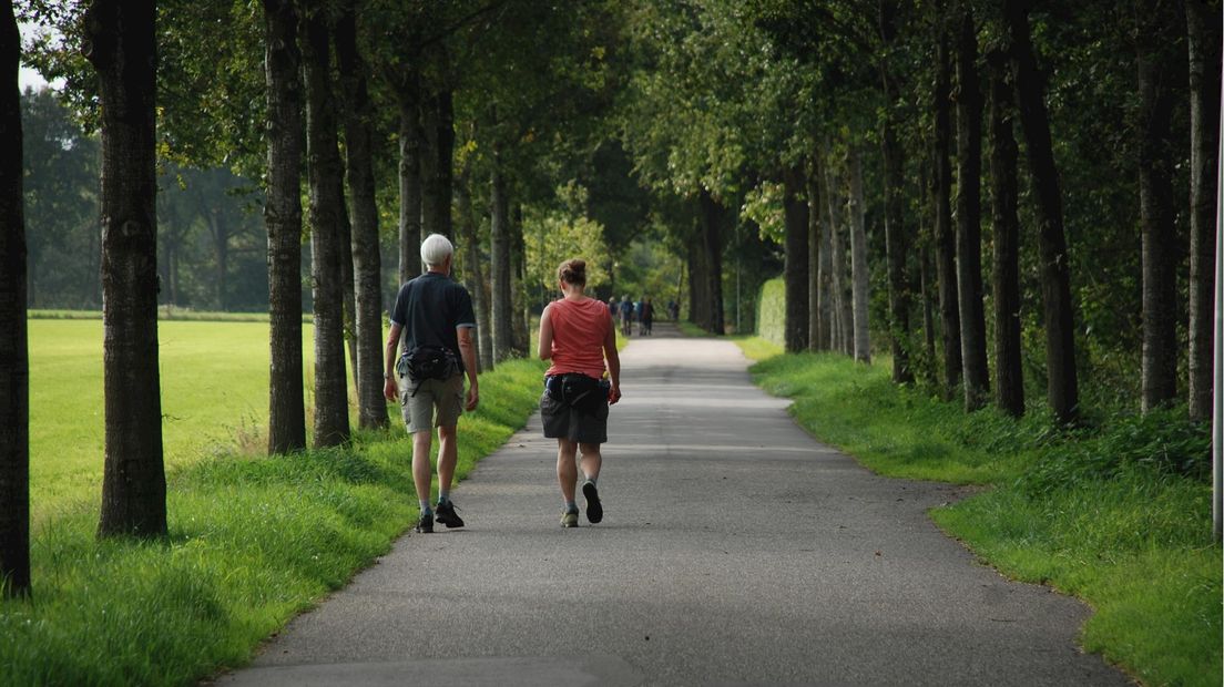 Wandelaars in Willemsoord