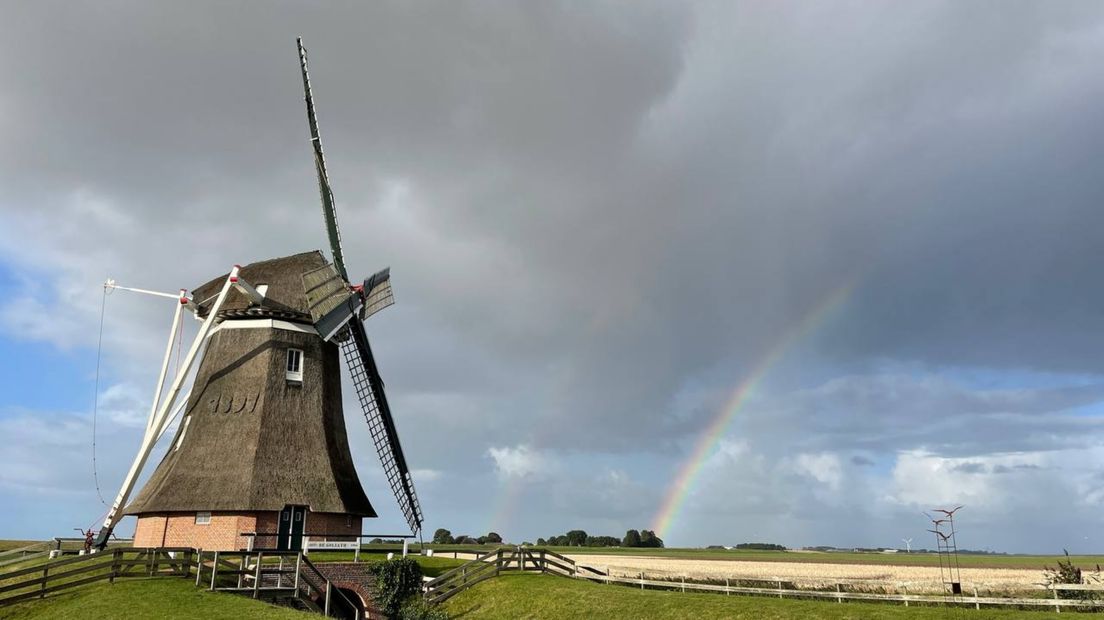 Molen de Goliath