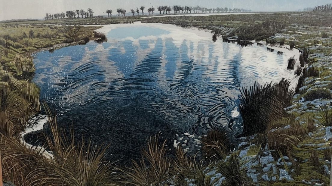 De prenten zijn tot en met 30 september te zien in Fochteloo (Rechten: Omrop Fryslân)