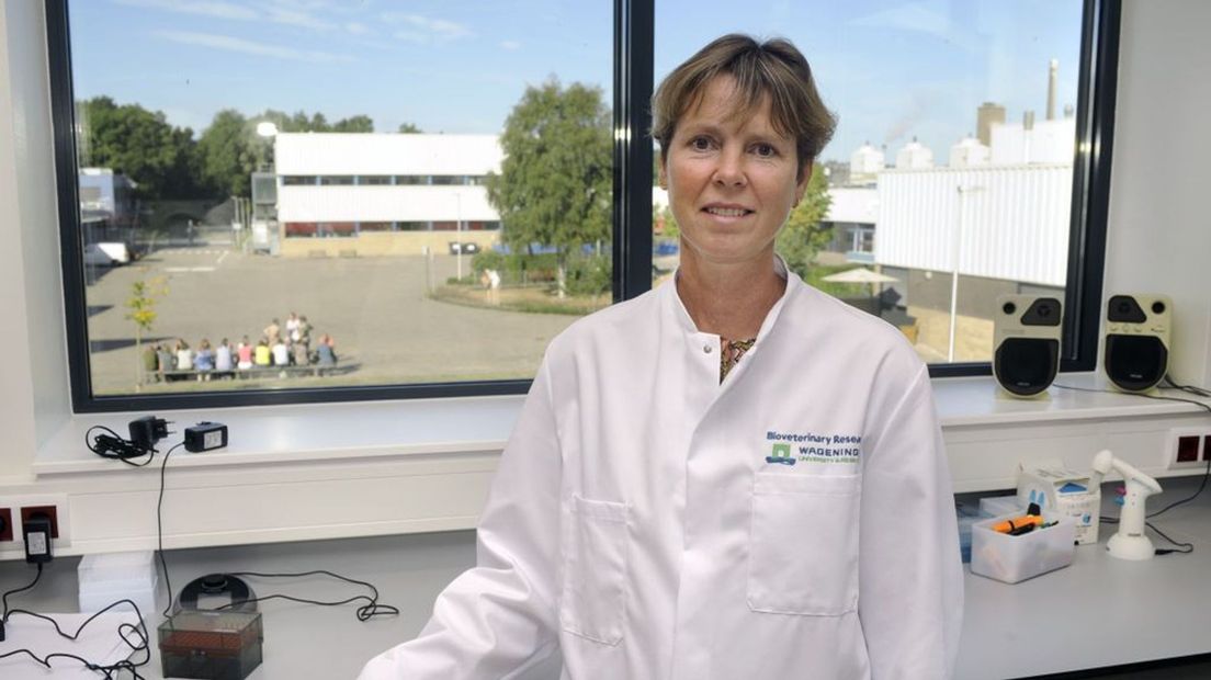 Nancy Beerens, vogelgriepexpert van Wageningen Bioveterinary Research