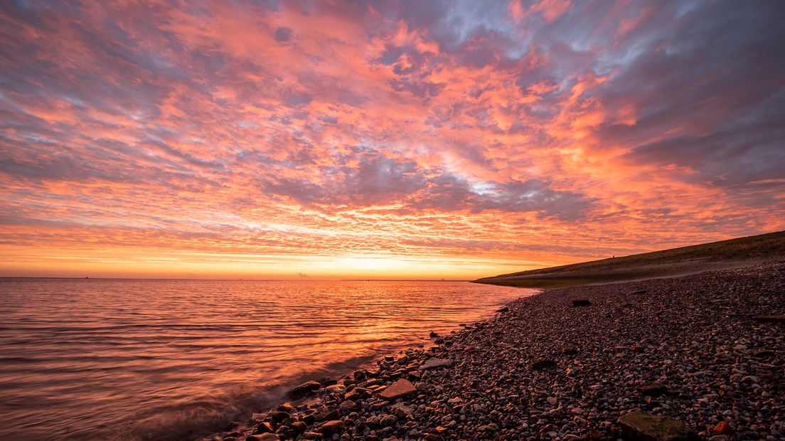 De Westerschelde bij Walsoorden