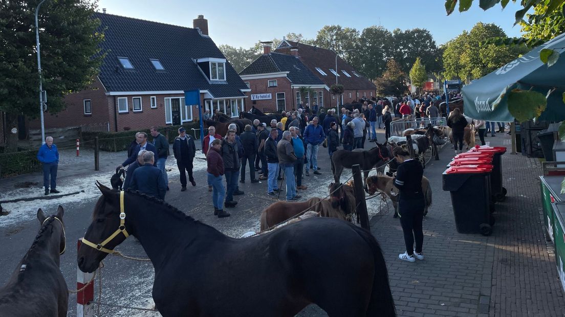 Paardenmarkt Roden 2021