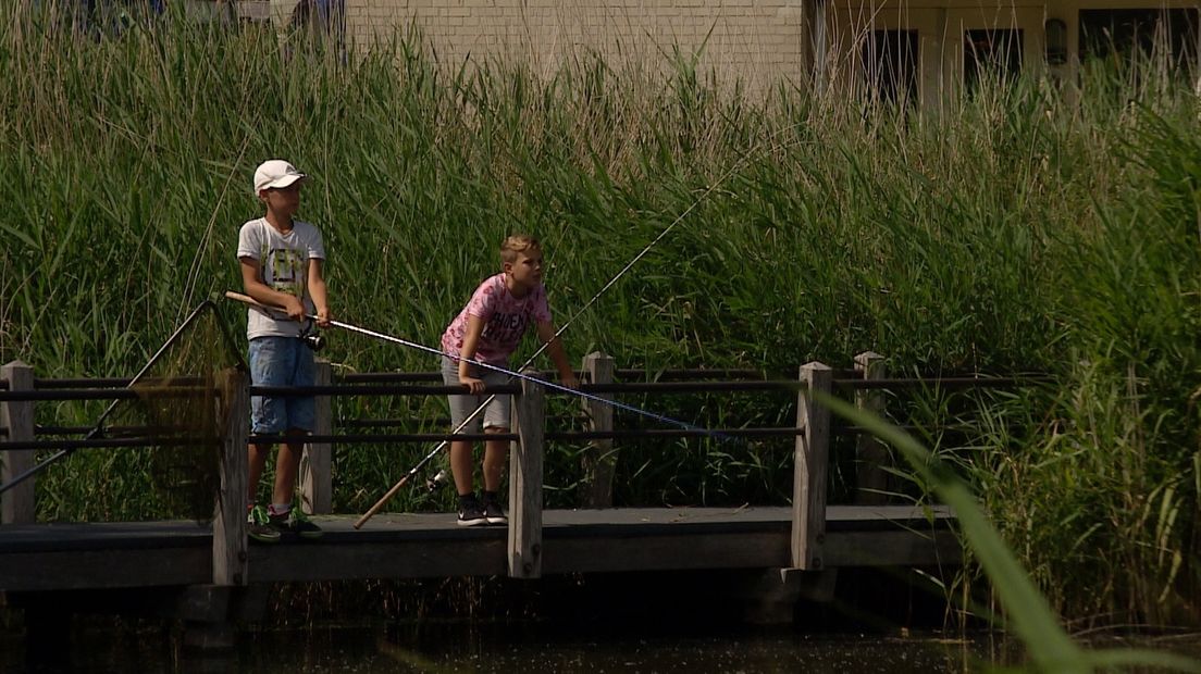 Viswater bij Vlissingen.