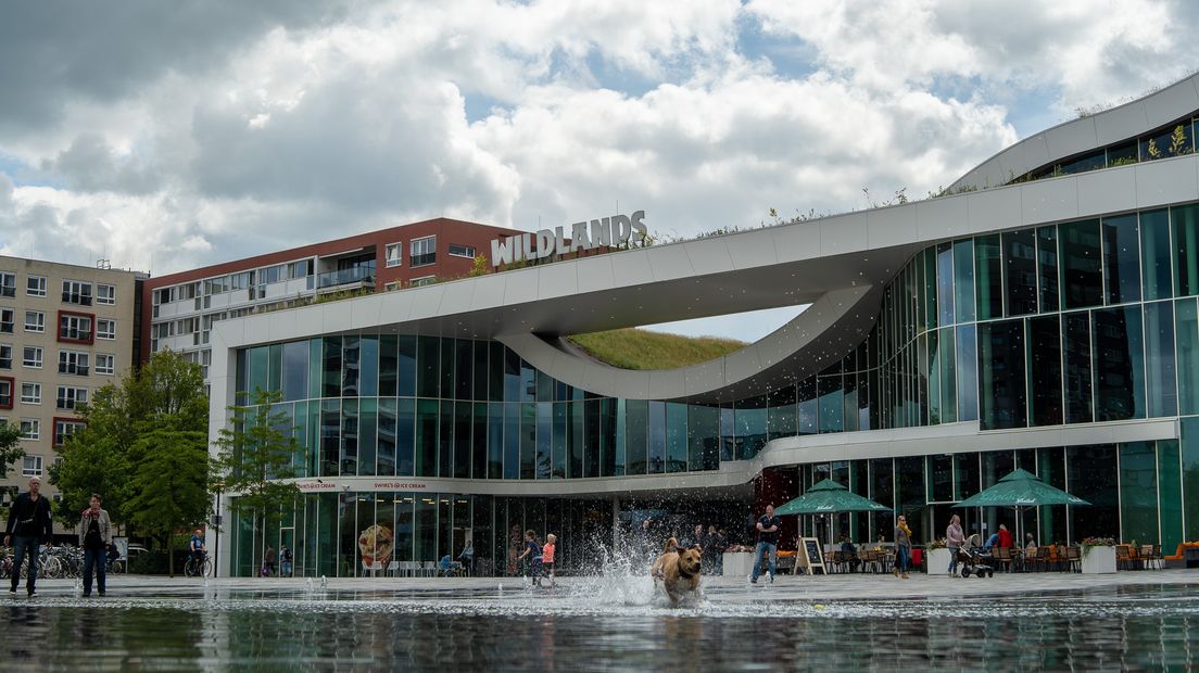 Wildlands heeft een tijdelijke directeur (Rechten: Fred van Os/RTV Drenthe)