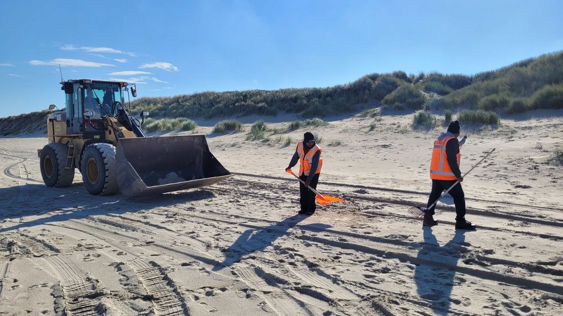 Het strand bij Renesse wordt schoongemaakt van stookolie