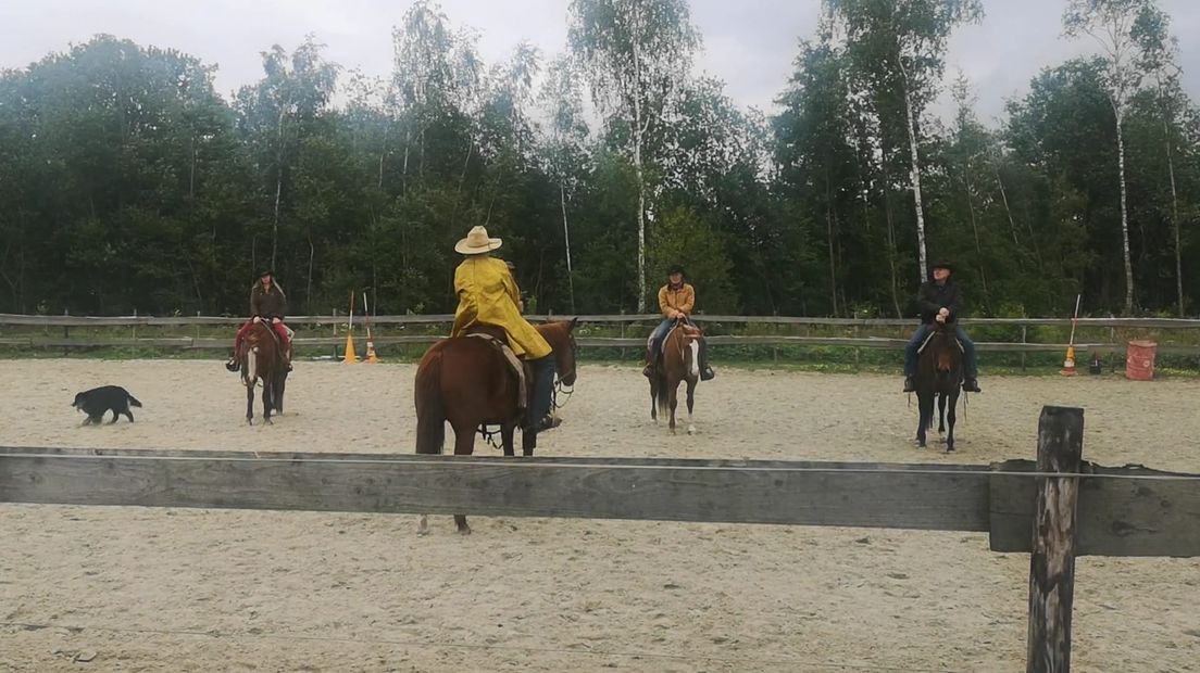 Een beeld van de open dag bij Ranchhorse Coaching in Bourtange