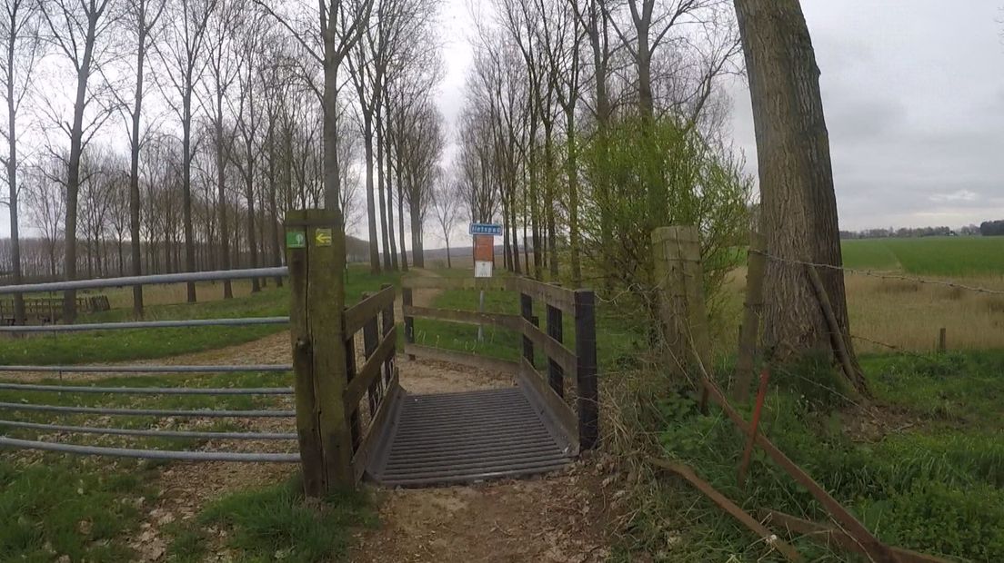 Zo ziet de Marathon Zeeuws-Vlaanderen eruit (video)