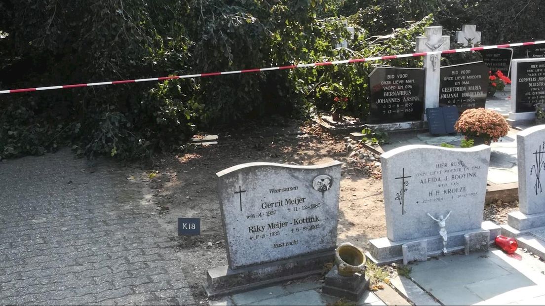 Boom valt op begraafplaats in Albergen: mogelijk meerdere graven beschadigd