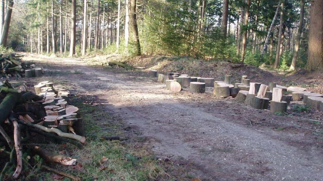 Brandhout gestolen op Sallandse Heuvelrug