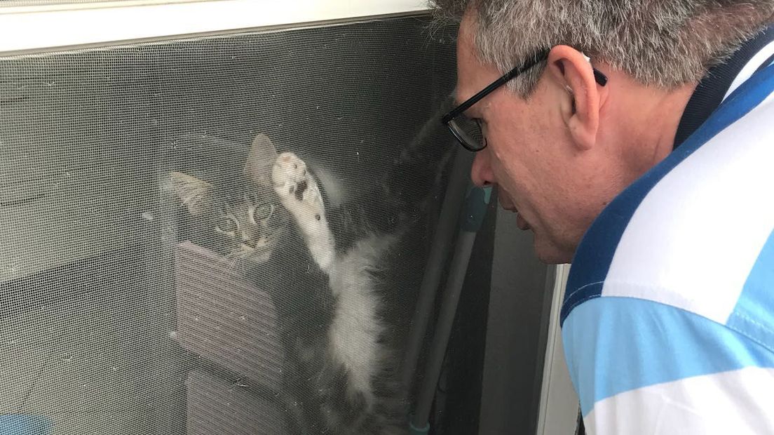 Paul met zijn kat Billy uit Veenendaal. Billy wil het liefste geknuffeld of gekroeld worden!