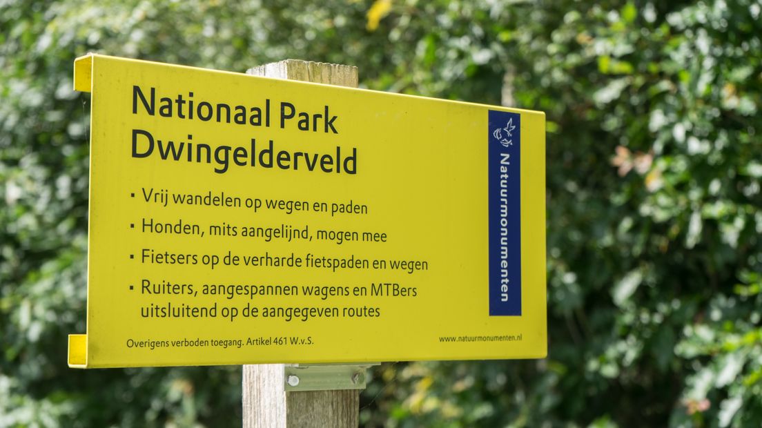 Dit weekend zijn er wandelexcursies op het Dwingelderveld en de Hondsrug (Rechten: RTV Drenthe/Kim Stellingwerf)