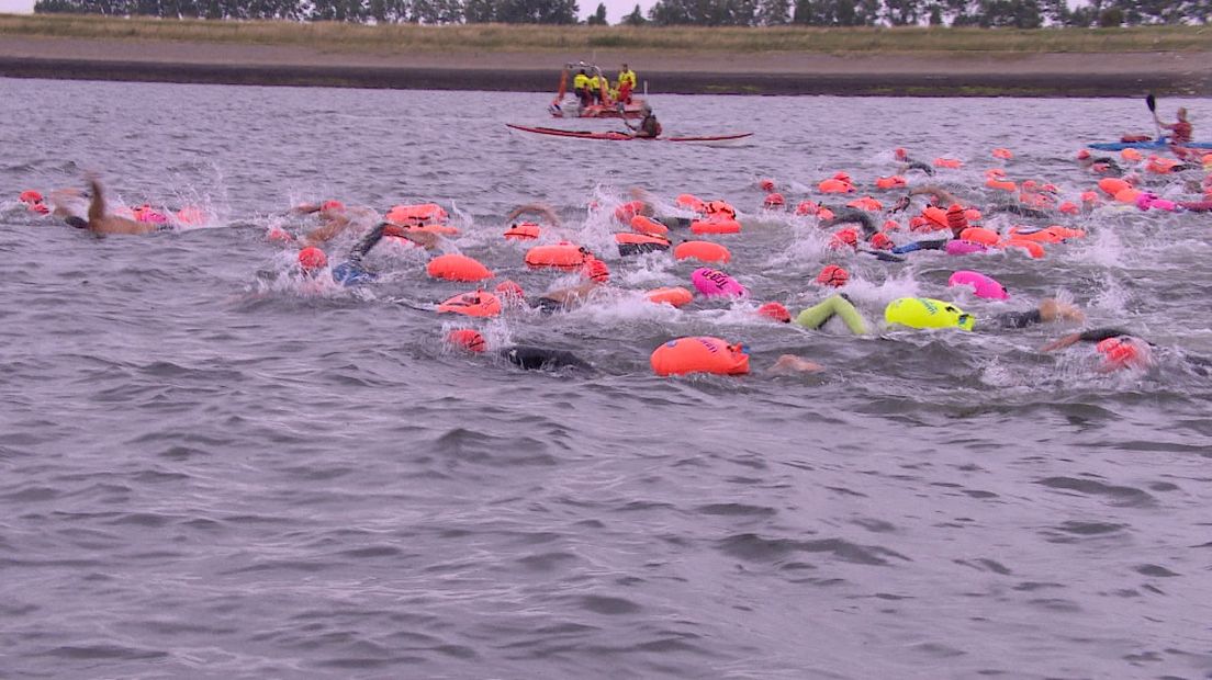 Ruim honderd zwemmers zwommen van Strijenham naar Yerseke door de Oosterschelde