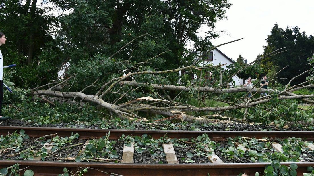 Boom op het spoor