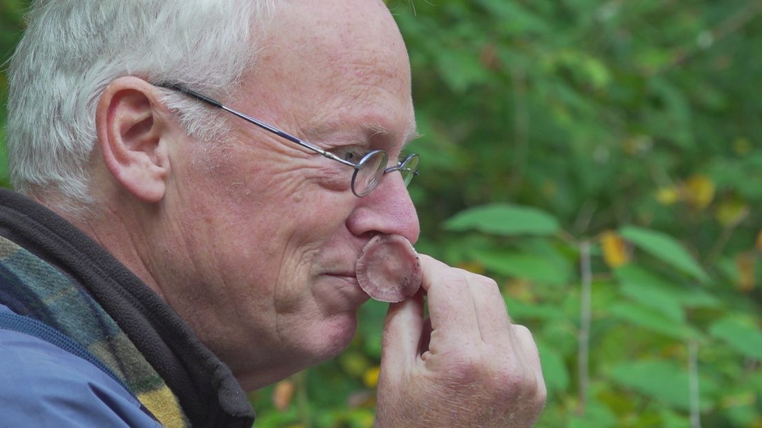 Pieter Bremer, ecoloog van Provincie Overijssel, snuift aan paddenstoel
